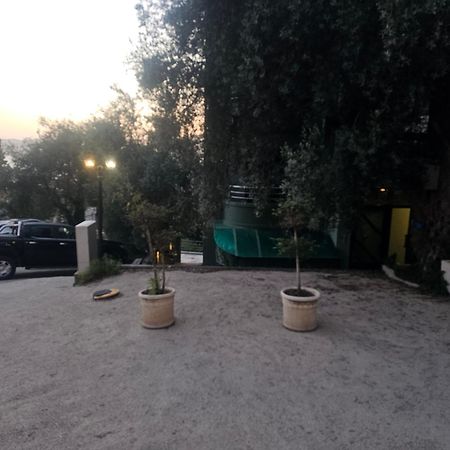 Ferienwohnung Langust - Free Parking Sveti Stefan Exterior foto